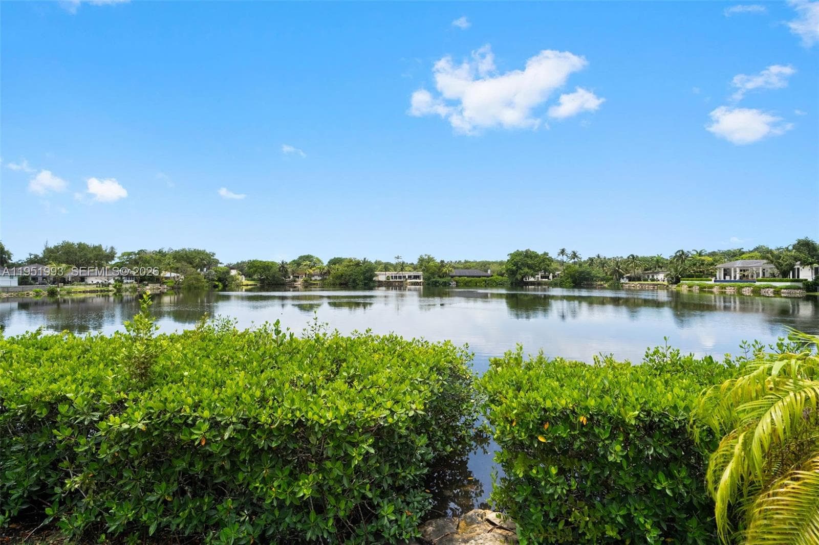 415 Rovino Ave, Coral Gables, FL 33156 — zdjęcie 5