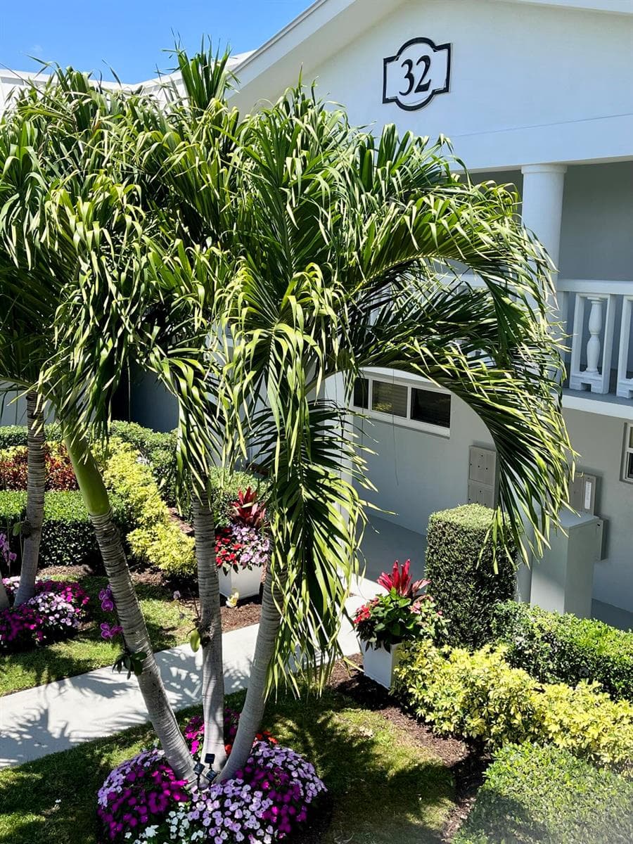 32 Colonial Club Drive # 203, Boynton Beach, FL 33435 — zdjęcie 5