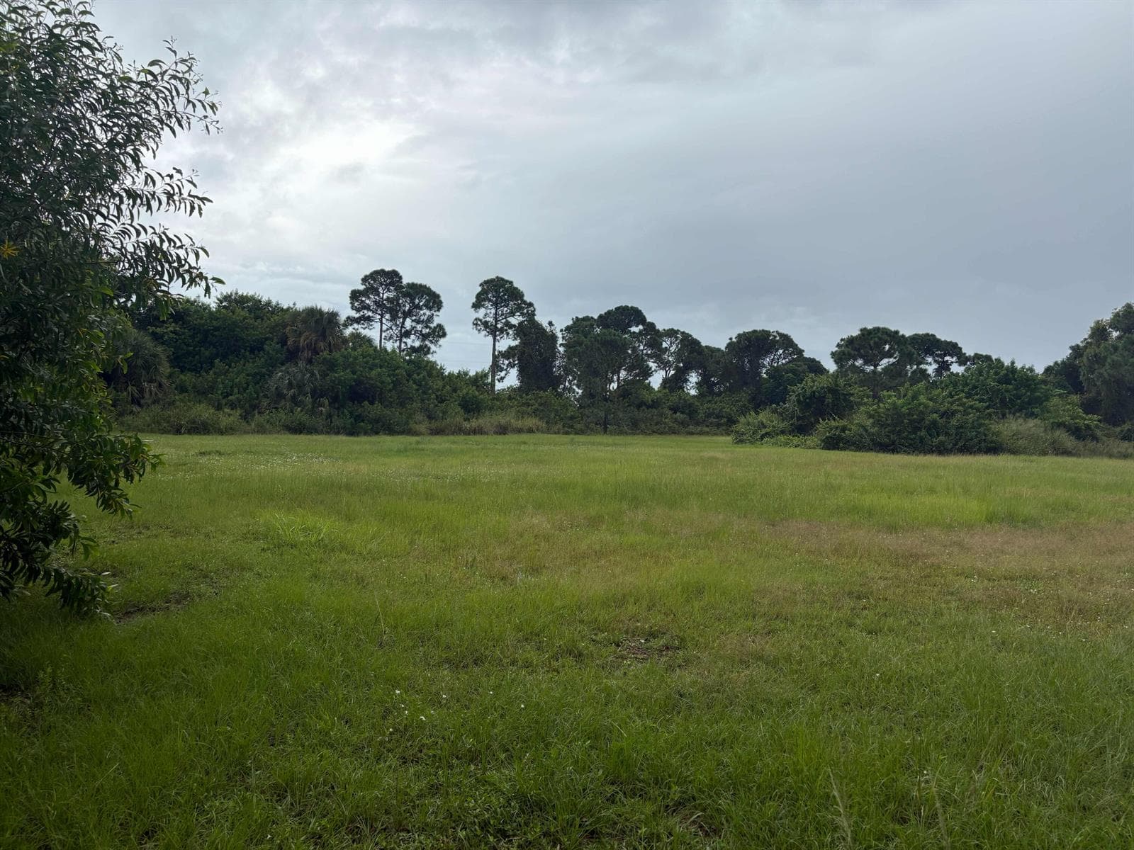 2520 SE Melaleuca Boulevard, Port St. Lucie, FL 34952 — zdjęcie 2