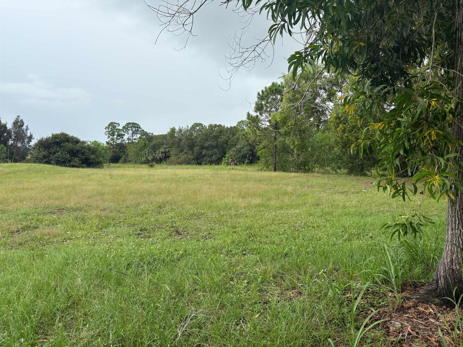 2520 SE Melaleuca Boulevard, Port St. Lucie, FL 34952 — zdjęcie 4