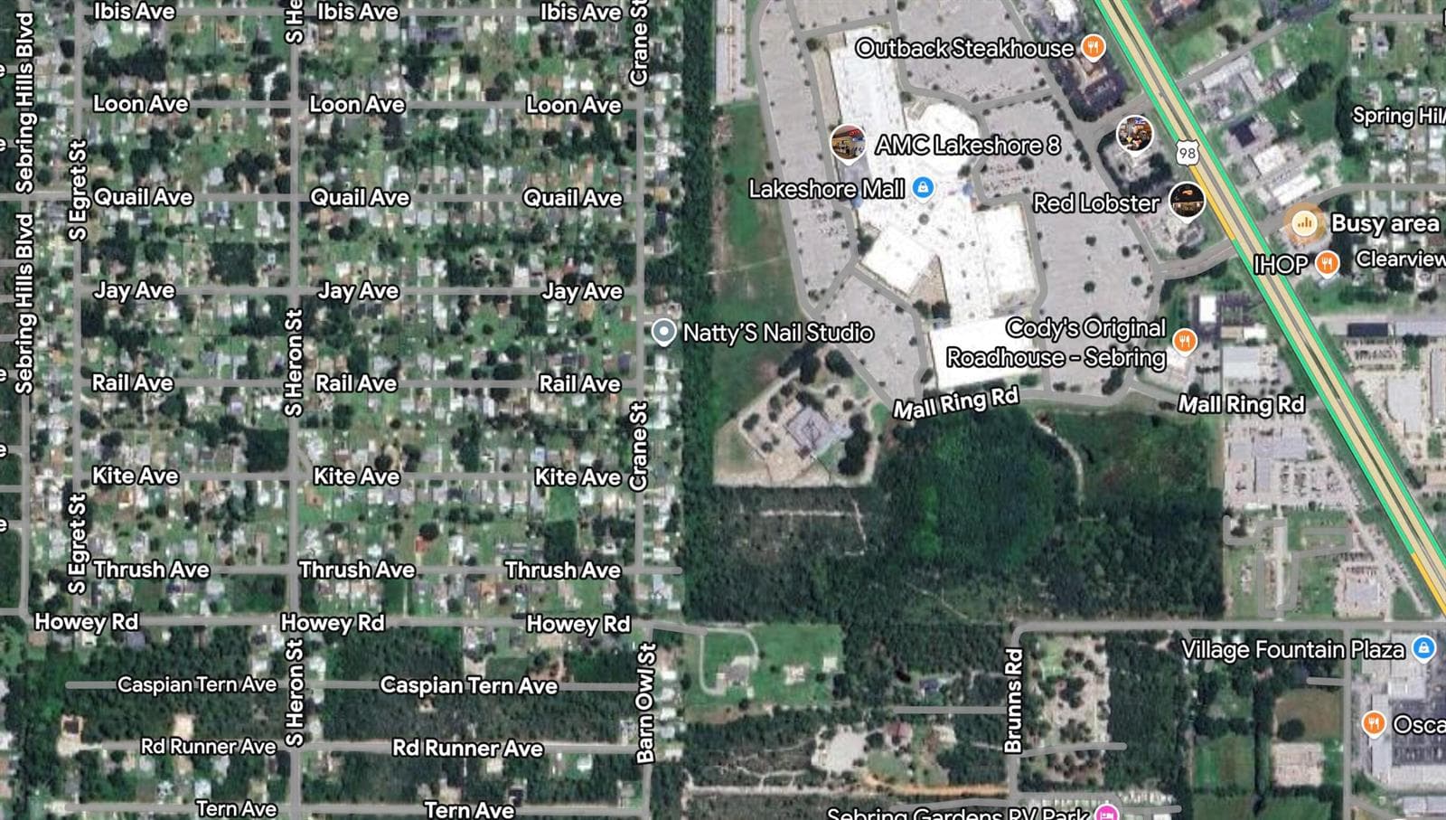 215 Roadrunner Avenue, Sebring, FL 33870 — zdjęcie 2