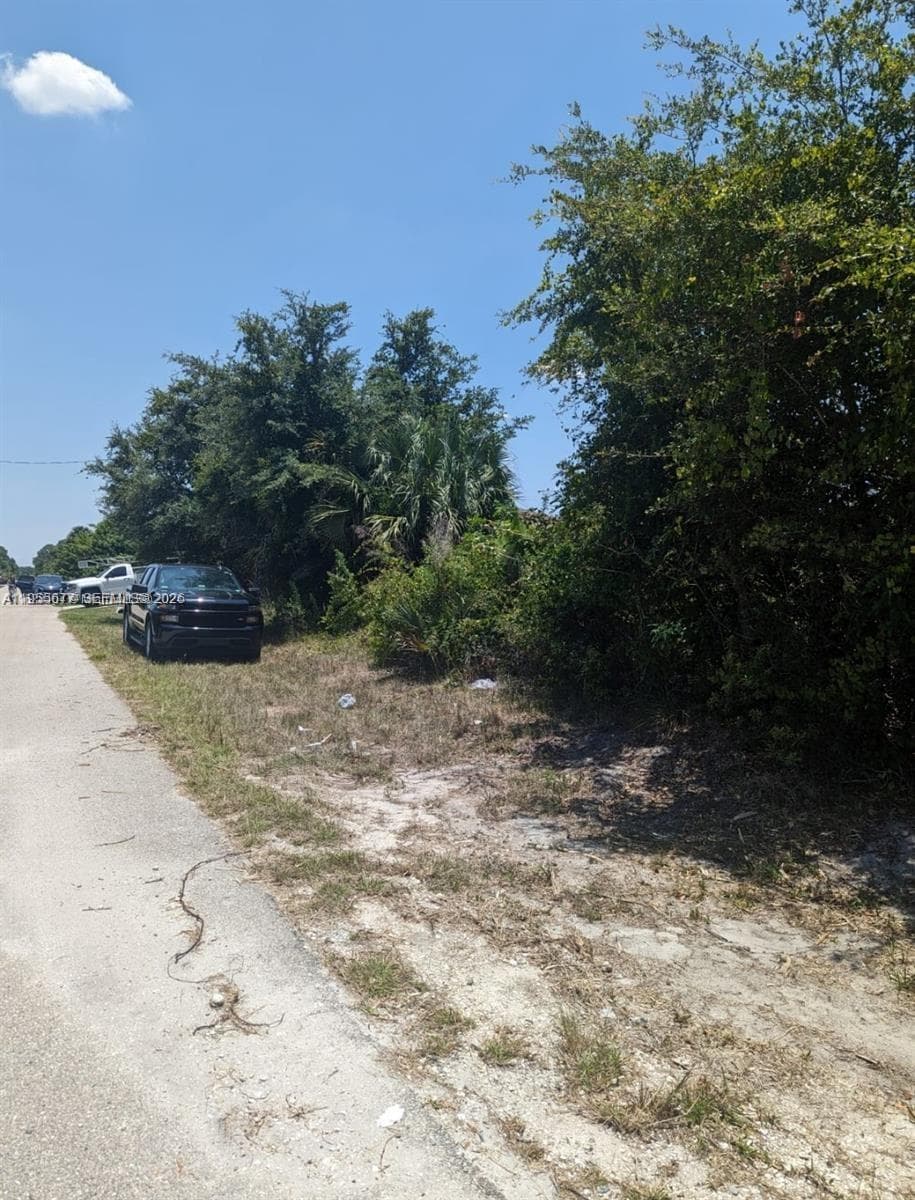 3215 52nd St W, Lehigh Acres, FL 33971 — zdjęcie 5