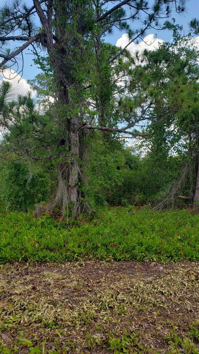932 Island Parkway NE, Lake Placid, FL 33852 — zdjęcie 3