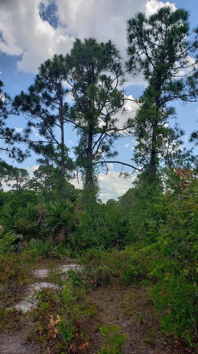 932 Island Parkway NE, Lake Placid, FL 33852 — zdjęcie 4