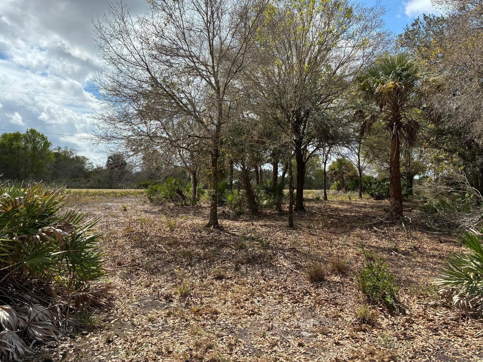 19731 NW 266th Street, Okeechobee, FL 34972 — zdjęcie 5