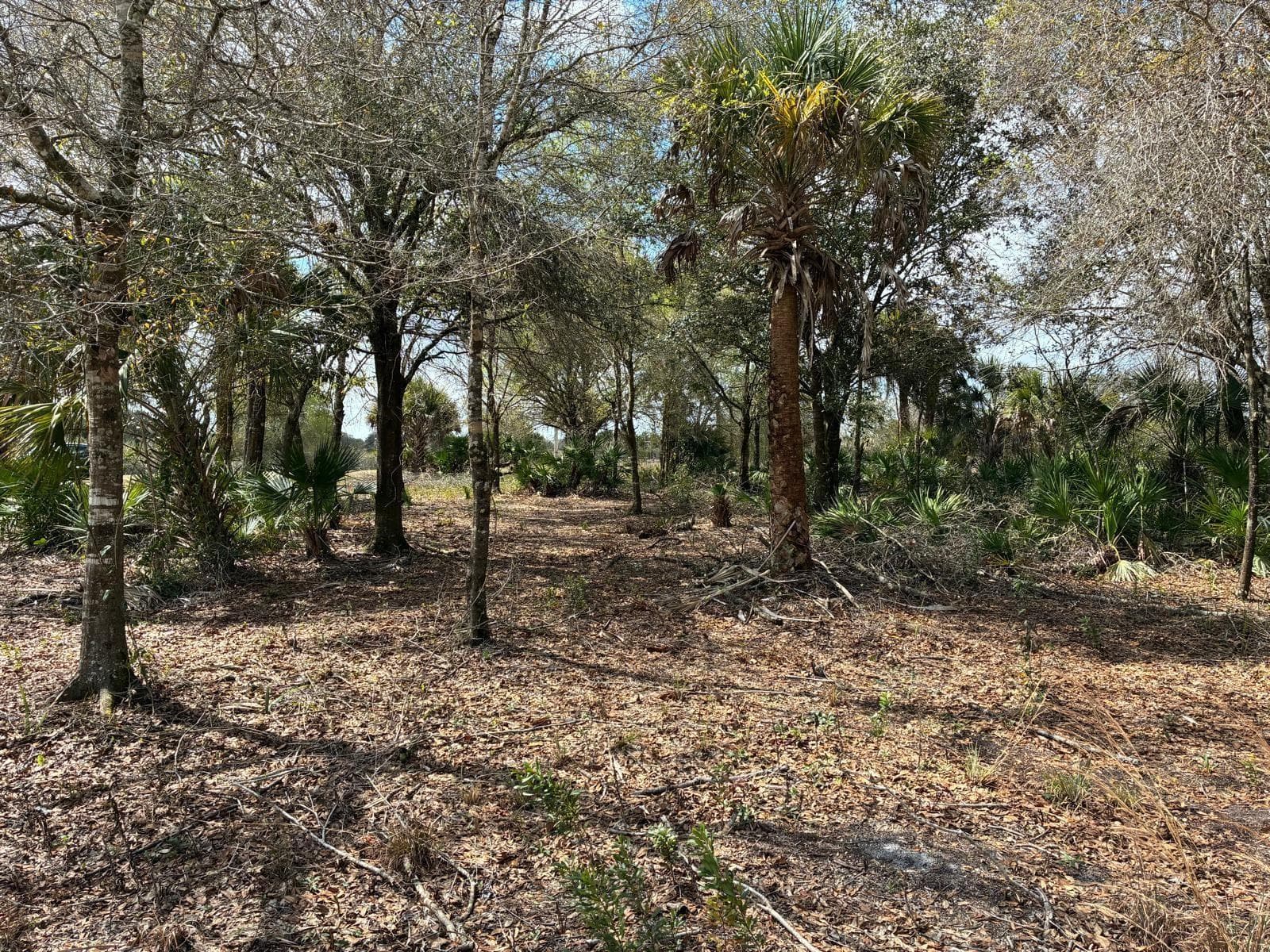 19731 NW 266th Street, Okeechobee, FL 34972 — zdjęcie 4