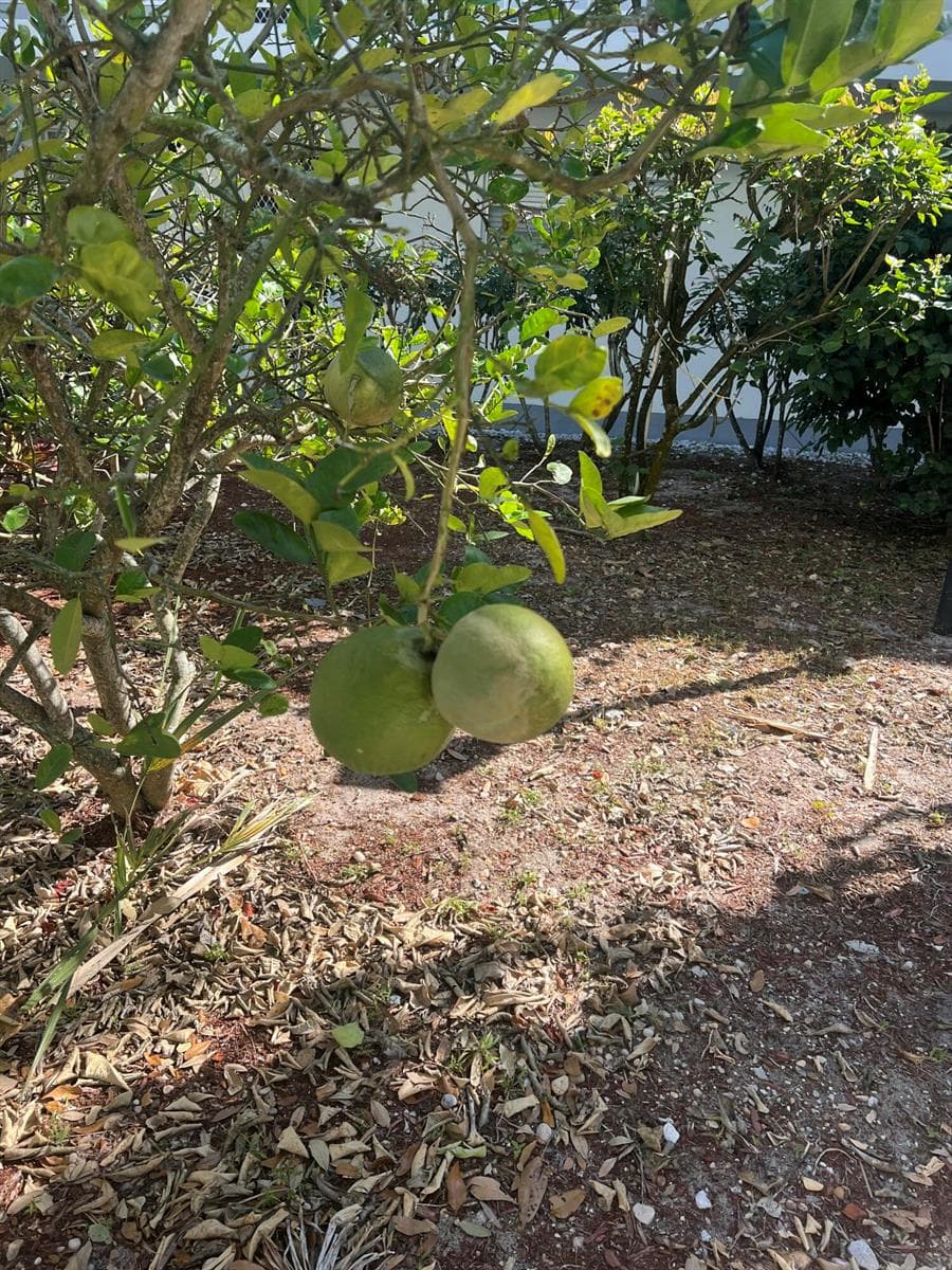 2302 Sunrise Boulevard # 3-201, Fort Pierce, FL 34982 — zdjęcie 2