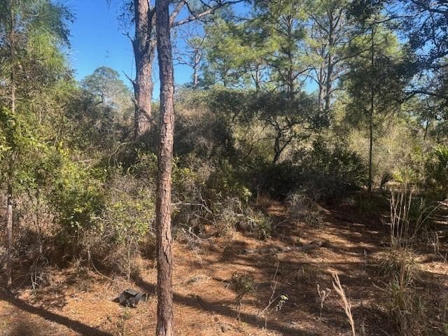 221 Rainbow Drive, Lake Placid, FL 33852 — zdjęcie 2