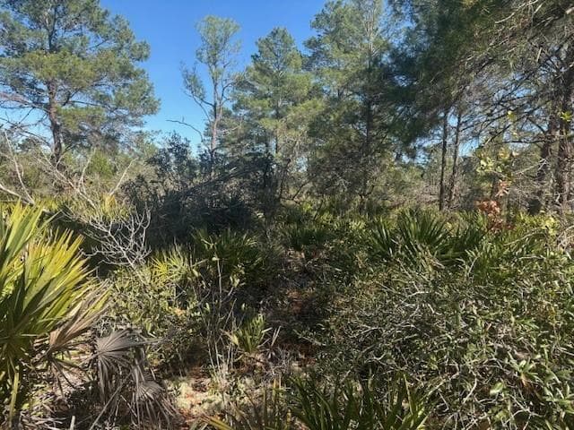 10681 Interlacher Drive, Sebring, FL 33852 — zdjęcie 2