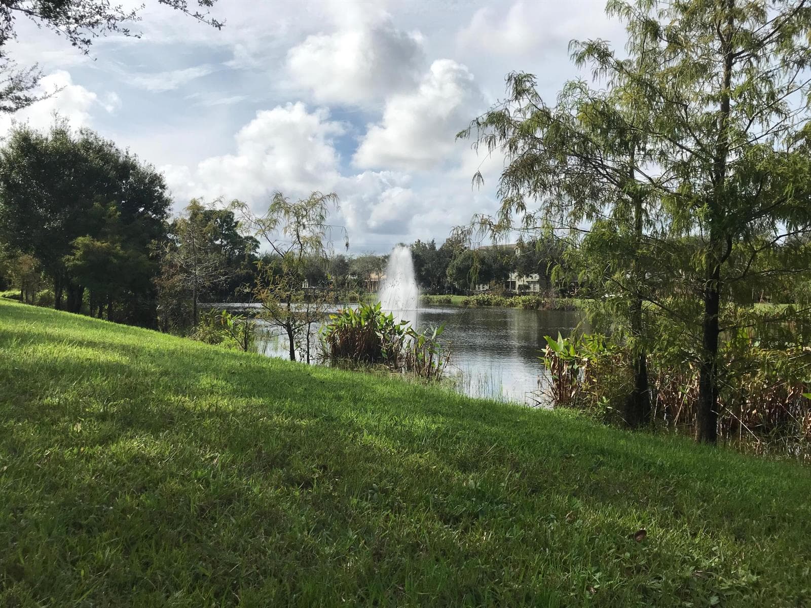 141 E Thatch Palm Circle, Jupiter, FL 33458 — zdjęcie 4
