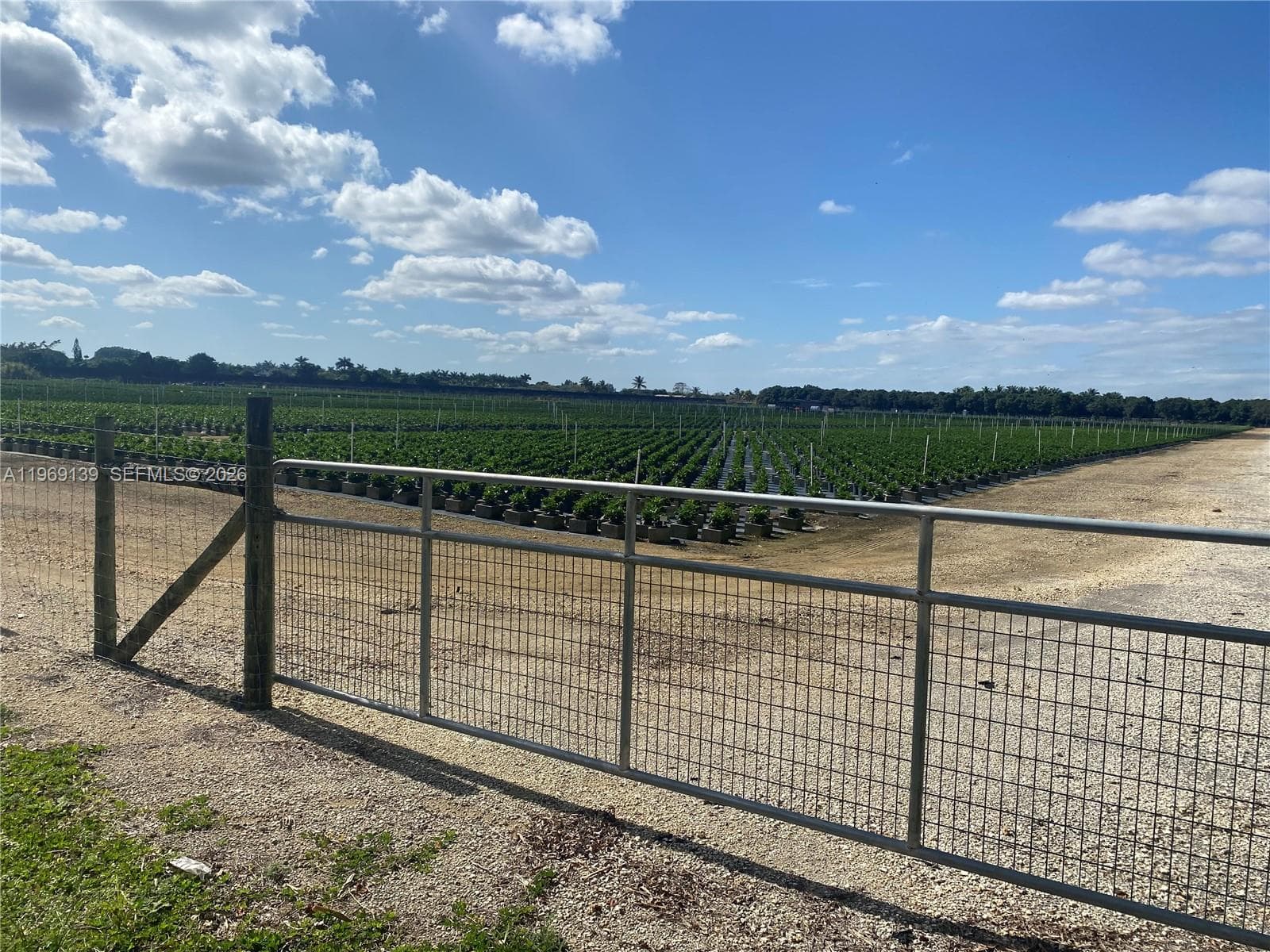 RICHARD ROAD, Homestead FL 33031 — zdjęcie 3