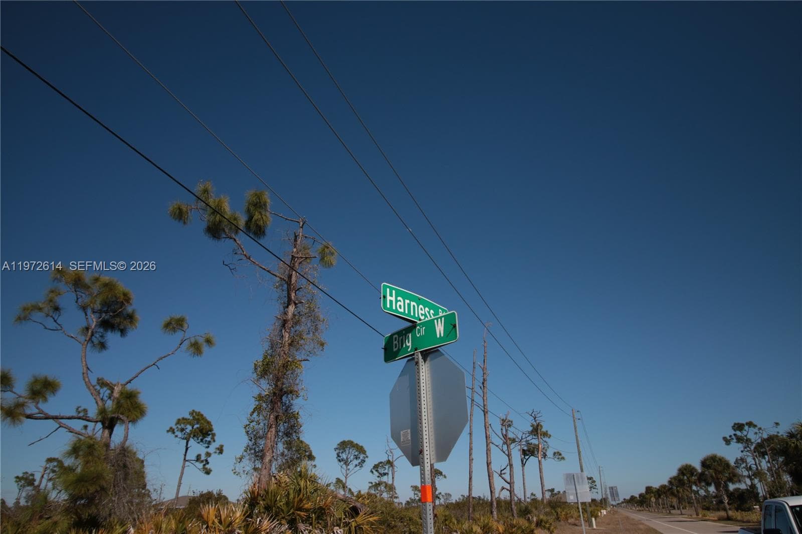 26 HARNESS, Other City - In The State Of Florida, FL 33946 — zdjęcie 4