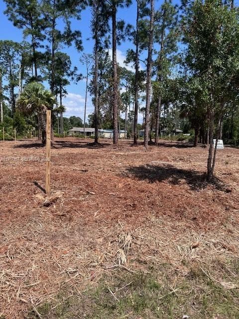 718 Columbus Avenue, Lehigh Acres, FL 33972 — zdjęcie 4
