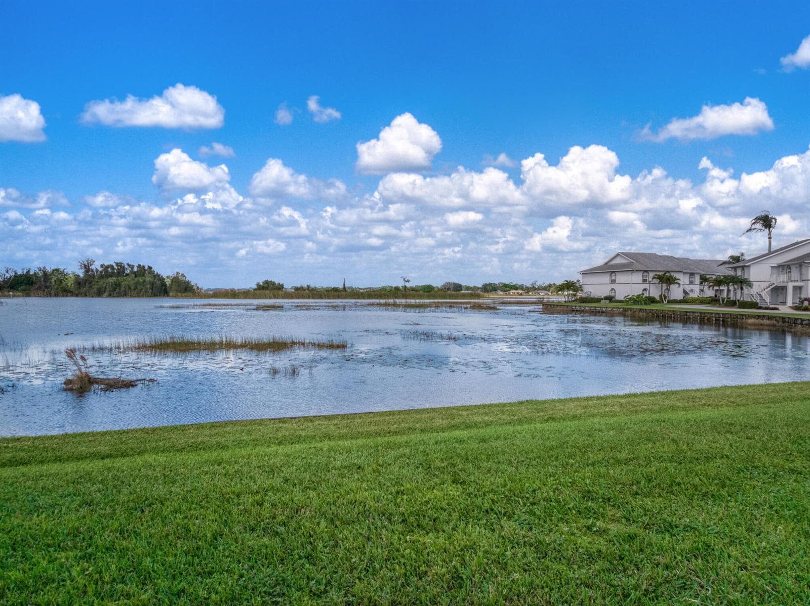 703 Chelsee Way, Lake Placid, FL 33852 — zdjęcie 5