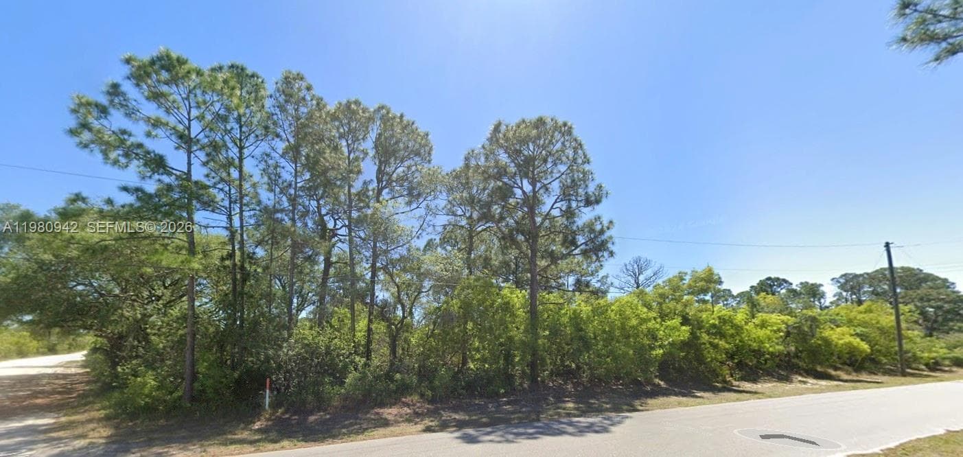 235 Deerwalk Ave, Lake Placid, FL 33852 — zdjęcie 2