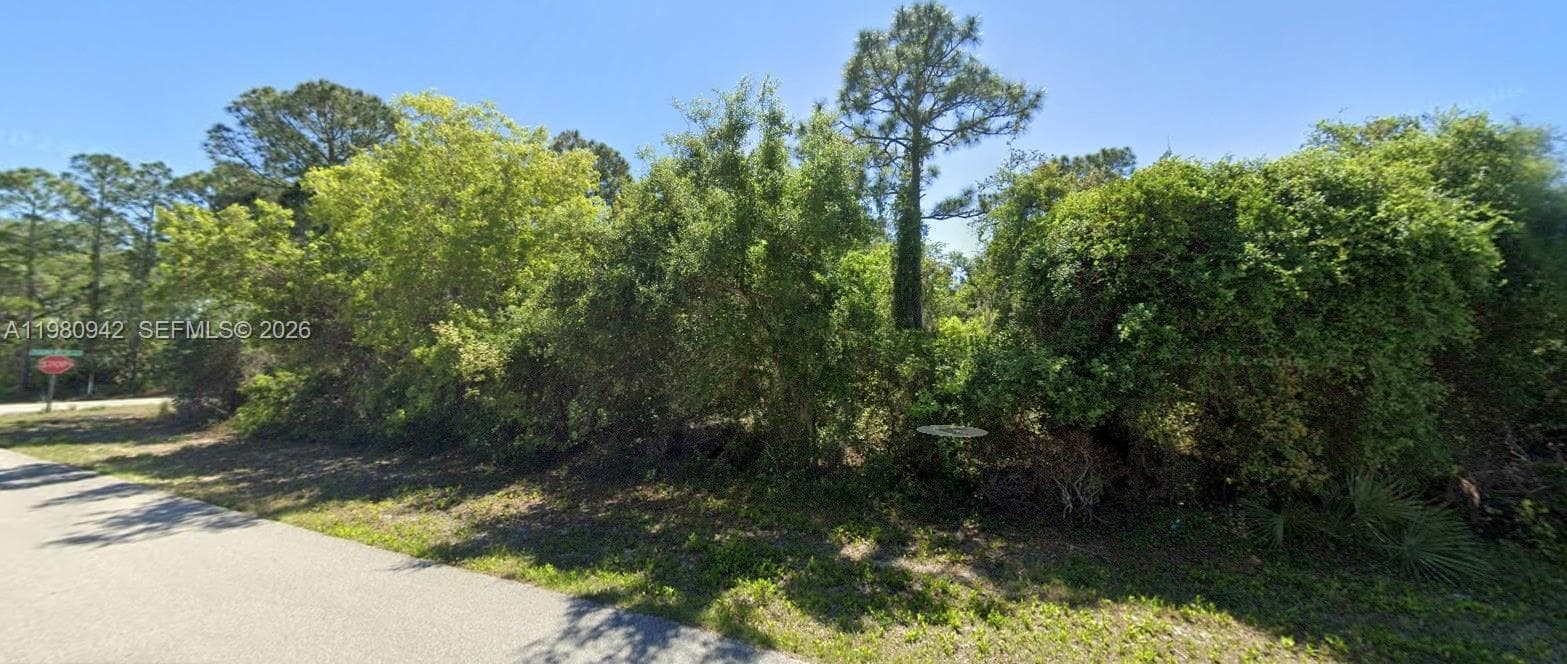 235 Deerwalk Ave, Lake Placid, FL 33852 — zdjęcie 3