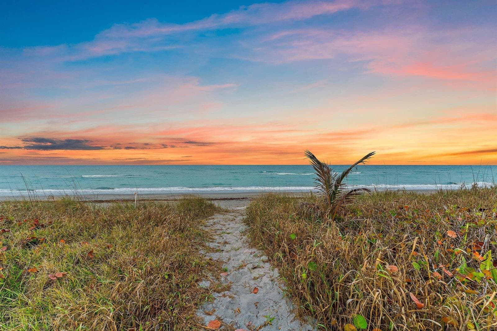 31 N Beach Road, Jupiter Island, FL 33455 — zdjęcie 2