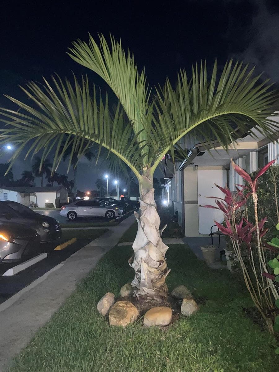 2847 Ashley Drive W # G, West Palm Beach, FL 33415 — zdjęcie 5