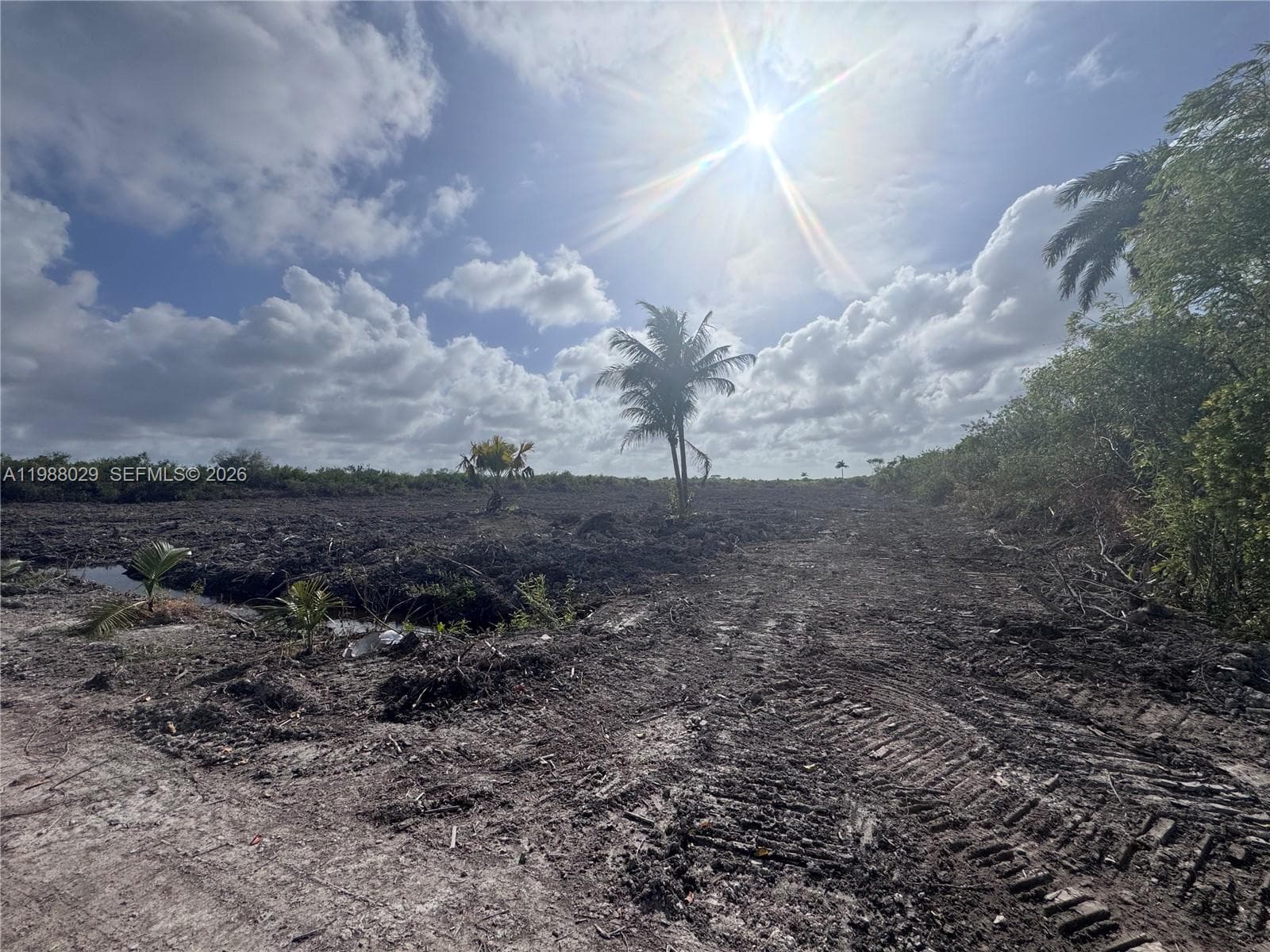 122 ave sw 332 st, Homestead FL 33035 — zdjęcie 5