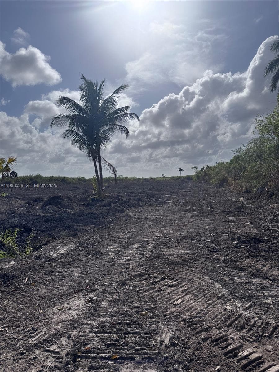122 ave sw 332 st, Homestead FL 33035 — zdjęcie 4