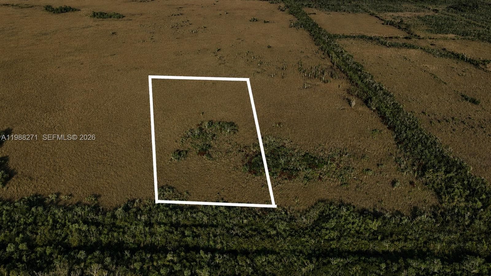 0 Unknown Road, Unincorporated Dade County, FL 33034 — zdjęcie 4