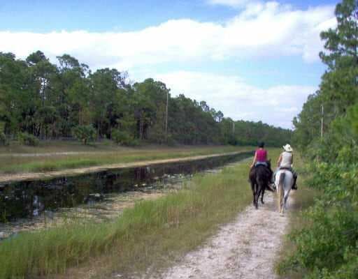 1340 Arabian Drive, Loxahatchee, FL 33470 — zdjęcie 4