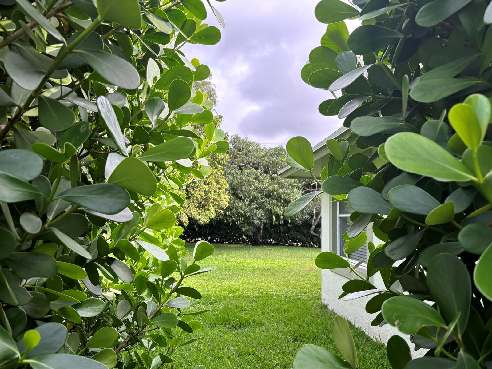 1094 Raintree Lane, Wellington, FL 33414 — zdjęcie 3