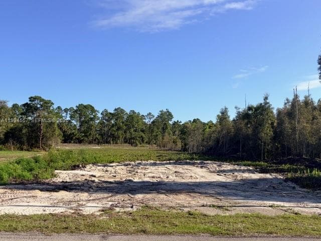 870 E Arturo St, Lehigh Acres, FL 33974 — zdjęcie 2