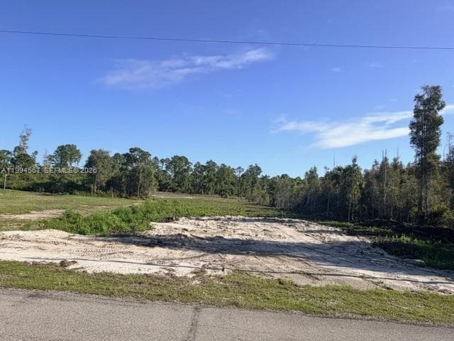 870 E Arturo St, Lehigh Acres, FL 33974 — zdjęcie 5