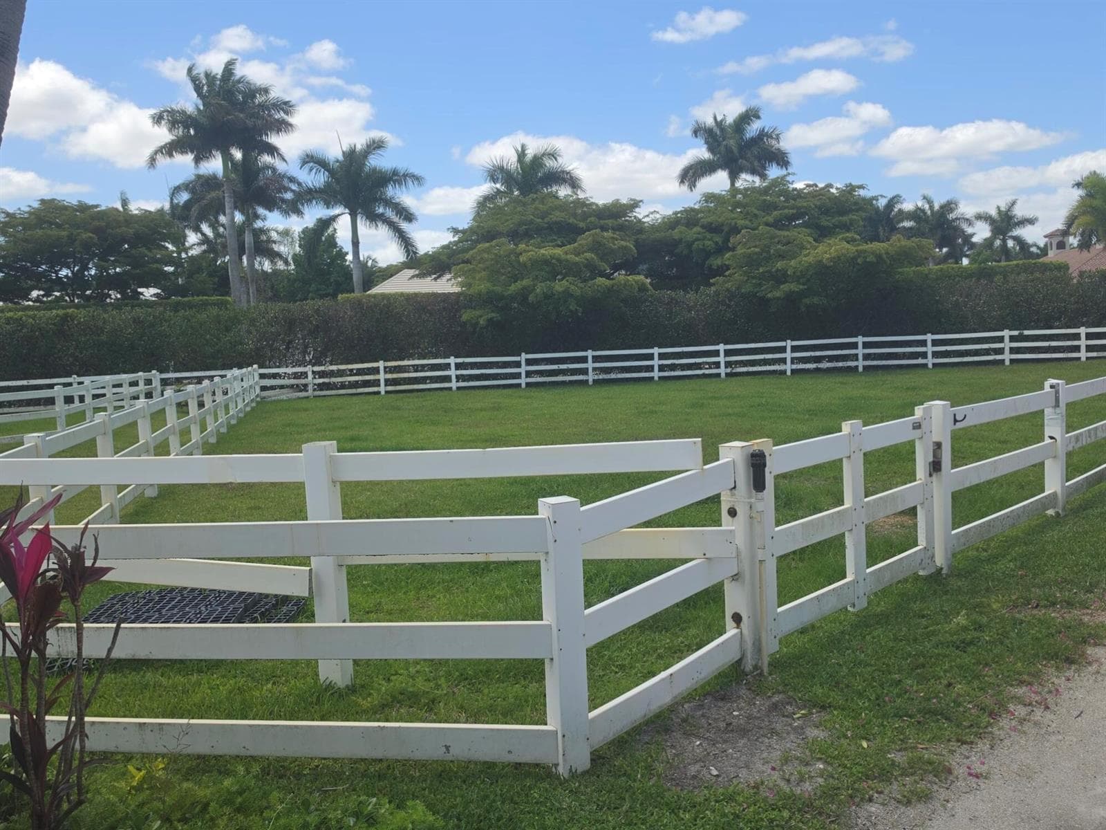 14127 Equestrian Way, Wellington, FL 33414 — zdjęcie 2