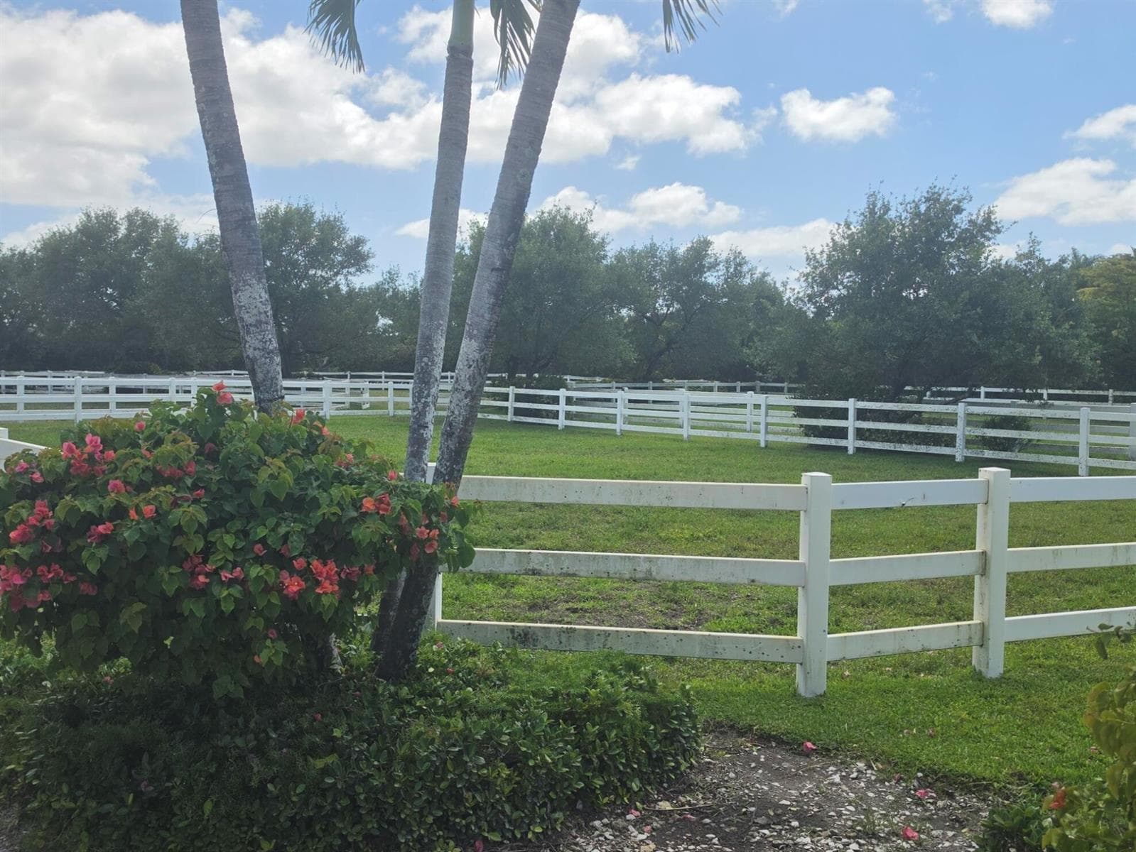 14127 Equestrian Way, Wellington, FL 33414 — zdjęcie 3