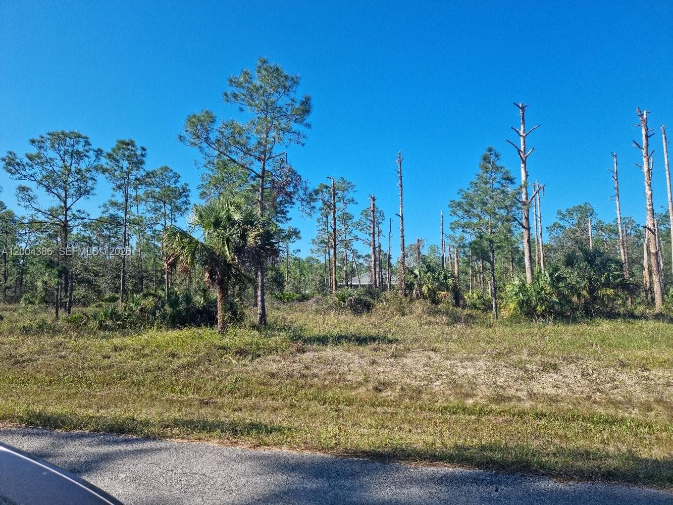 2309 Wellington Ave, Other City - In The State Of Florida, FL 33920