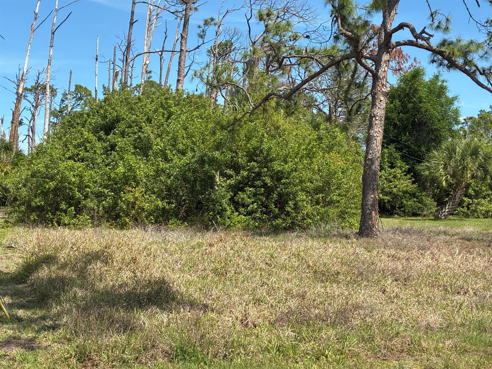 480 Longley Drive, Port Charlotte, FL 33953 — zdjęcie 2