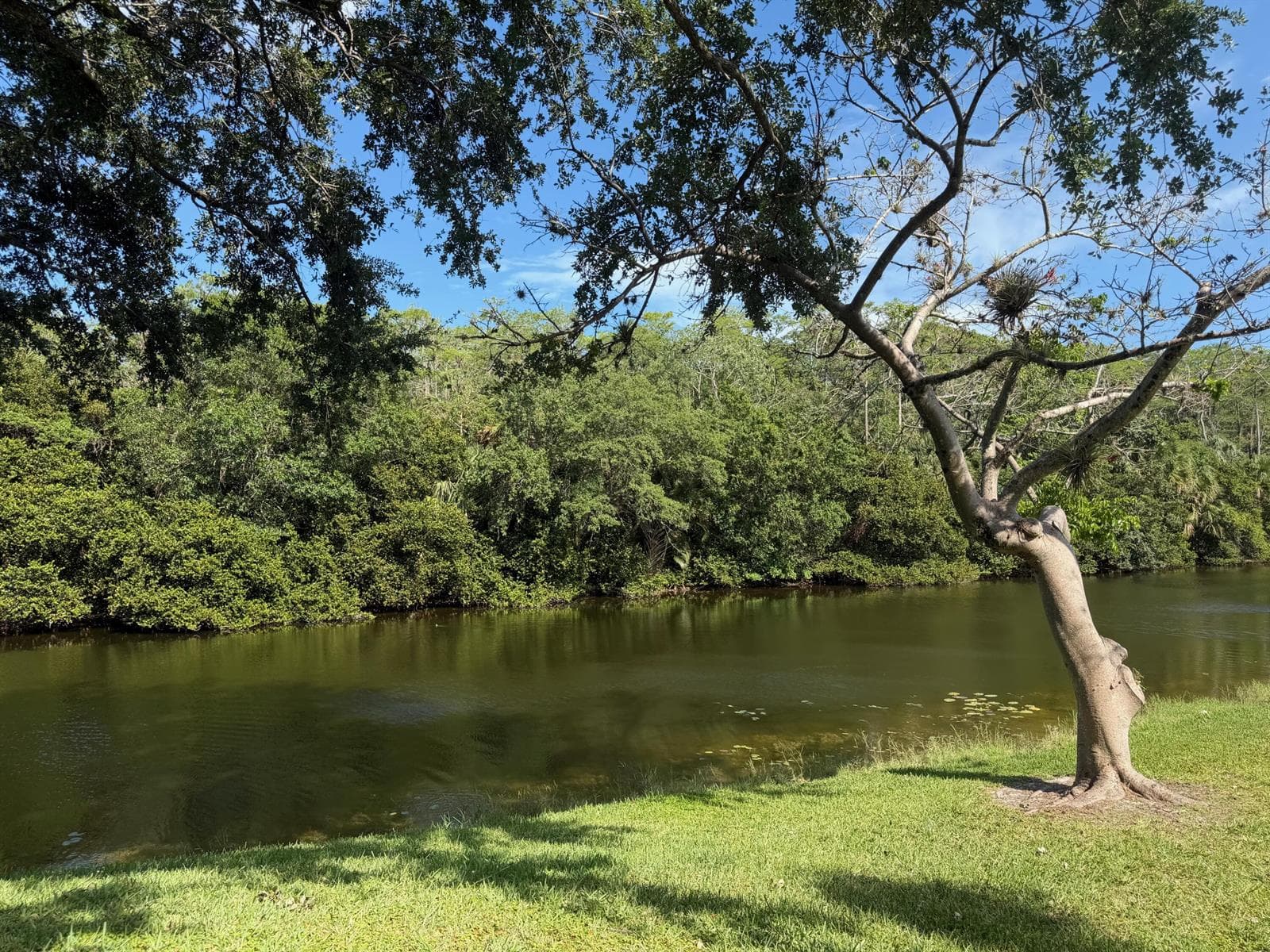 2664 NW 42nd Avenue, Coconut Creek, FL 33066 — zdjęcie 3