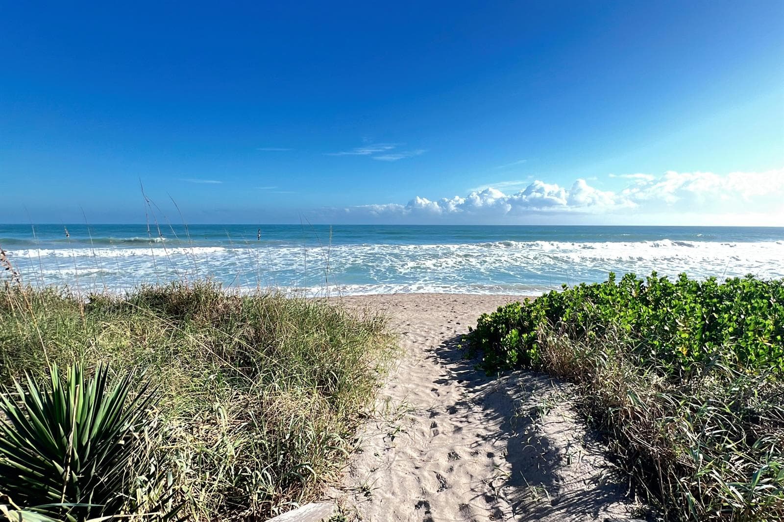 3541 NE Ocean Boulevard NE # 15, Hutchinson Island, FL 34957 — zdjęcie 5