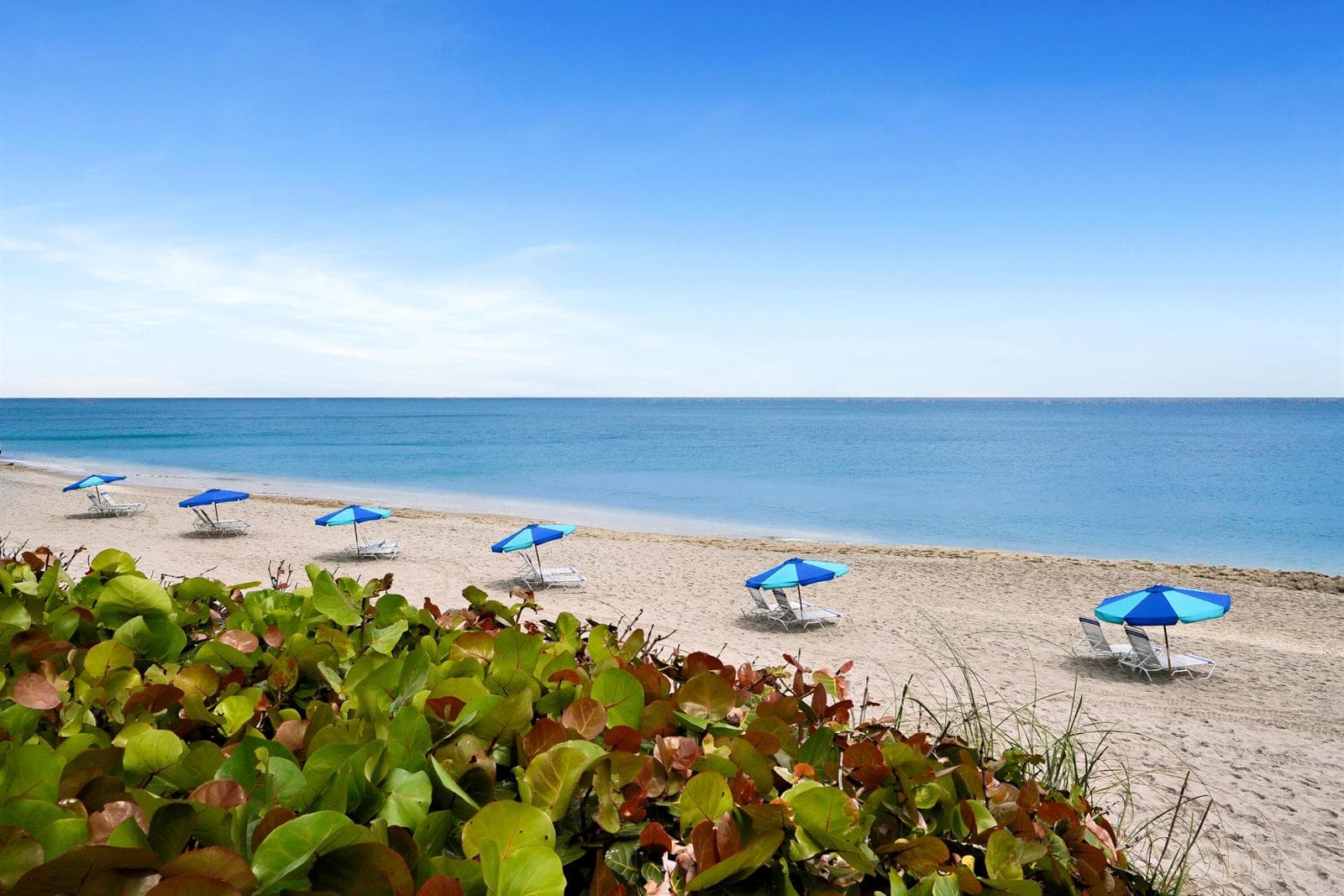 4100 N Ocean Drive # 803, Singer Island, FL 33404 — zdjęcie 5