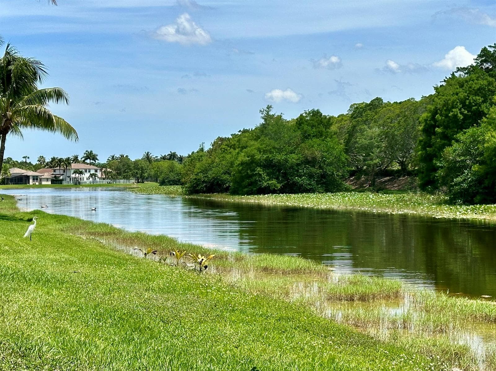 386 Carrington Drive, Weston, FL 33326 — zdjęcie 5