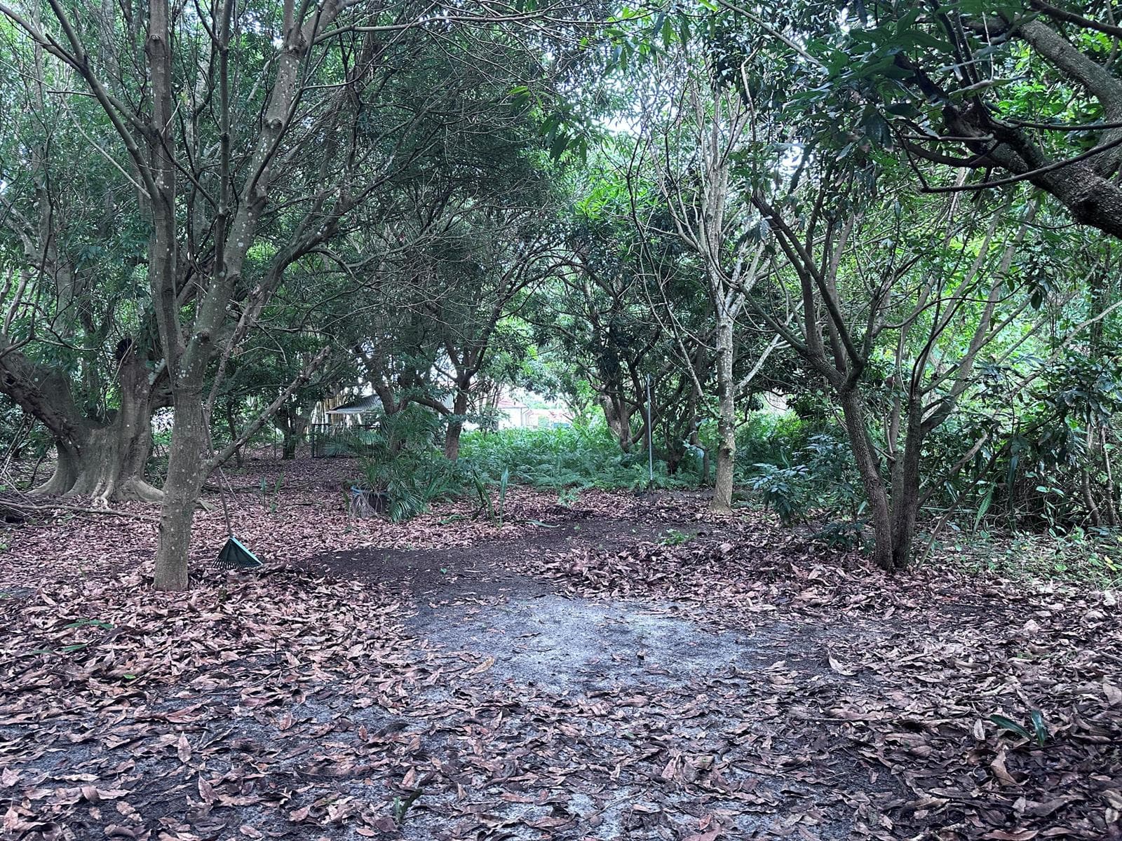 0000 NW 7th Court, Boynton Beach, FL 33426 — zdjęcie 5