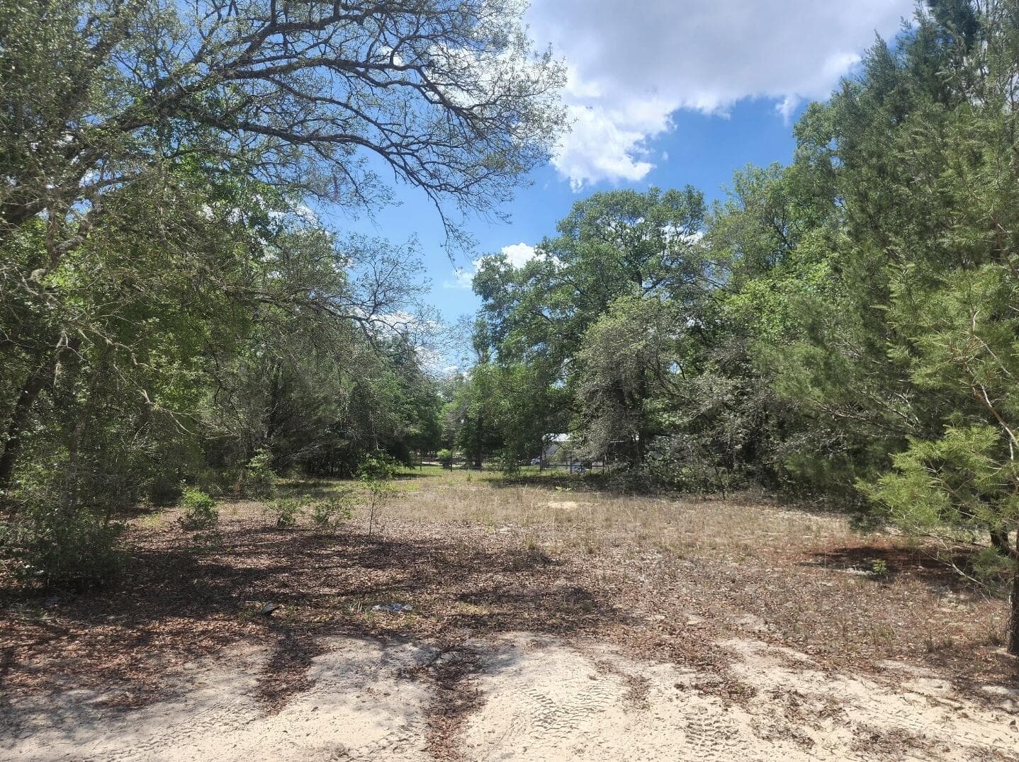 3199 Lich Street, Port Charlotte, FL 33980 — zdjęcie 4