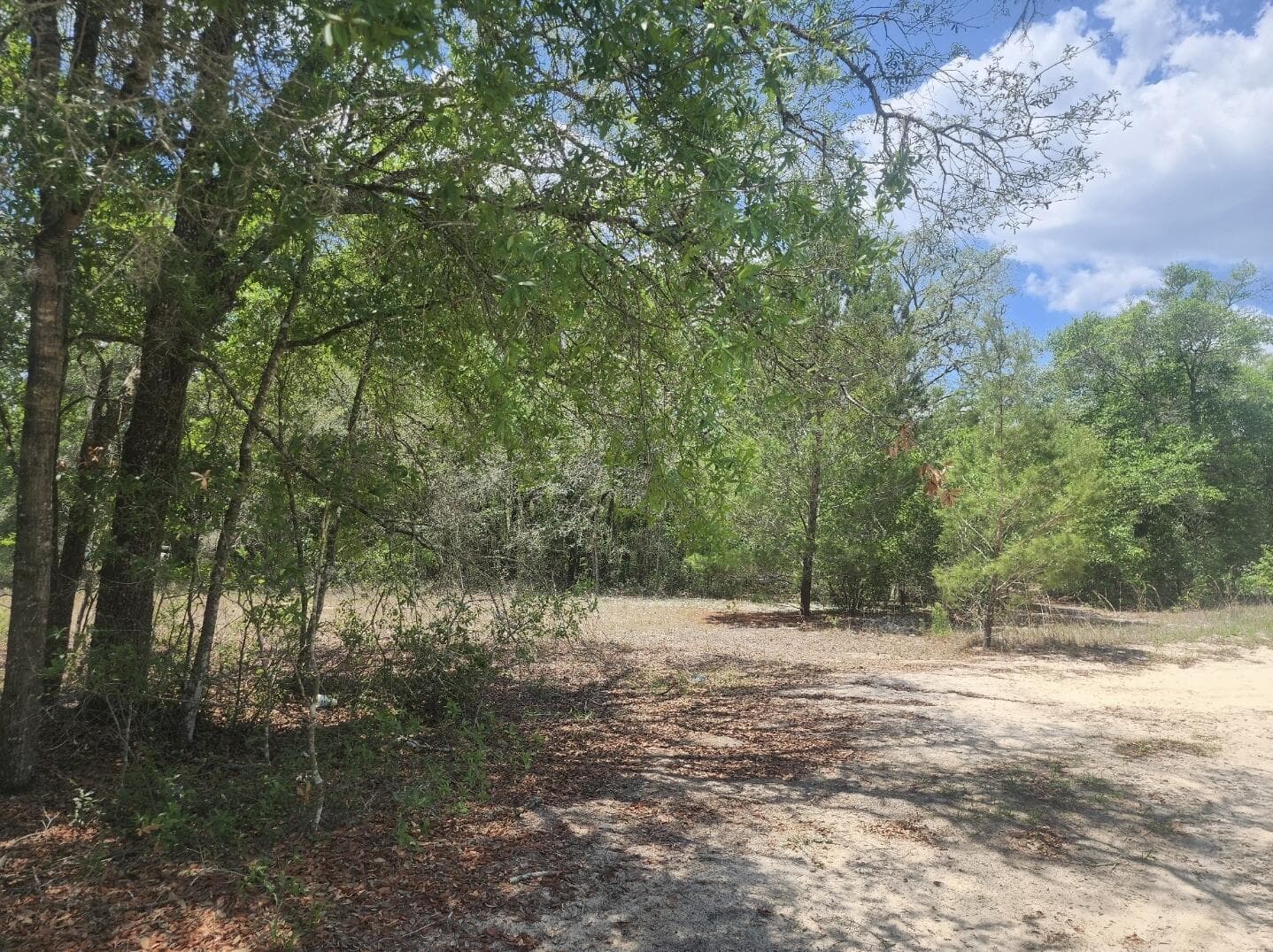 3207 Lich Street, Port Charlotte, FL 33980 — zdjęcie 4