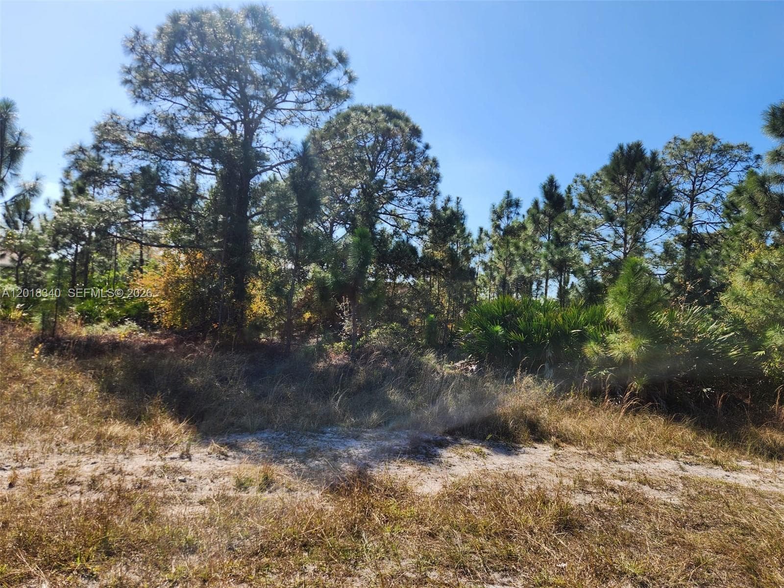 706 JOHNS AVE, Lehigh Acres, FL 33972