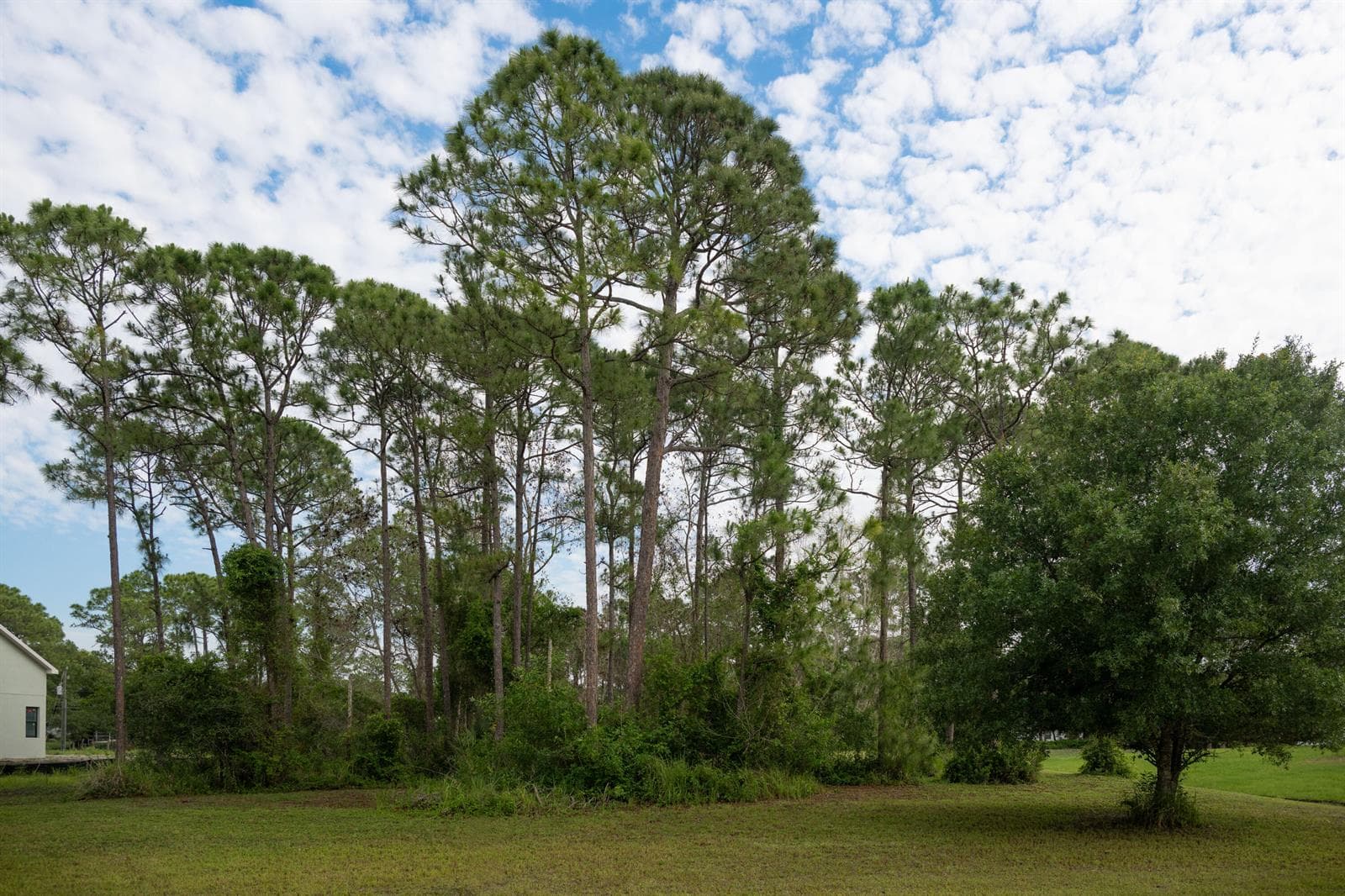 10638 Sugar Pine Drive, Fort Pierce, FL 34945