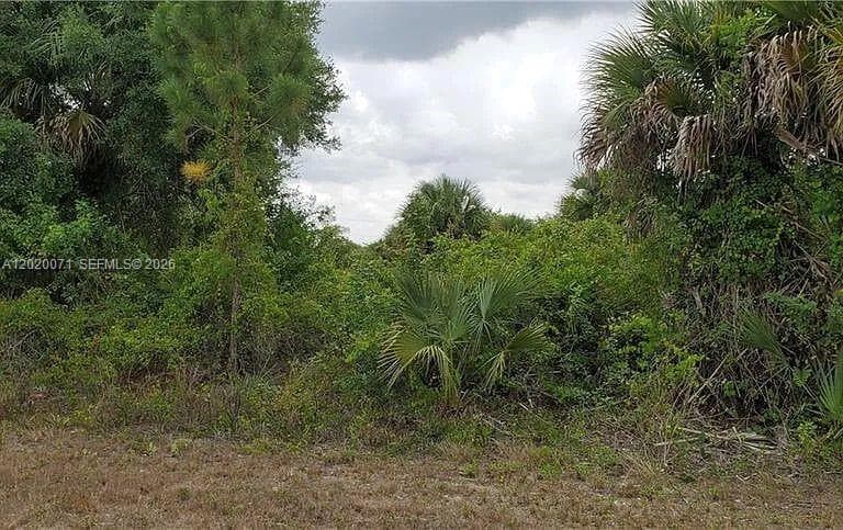 523 Montclair ave s, Lehigh Acres, FL 33974 — zdjęcie 4