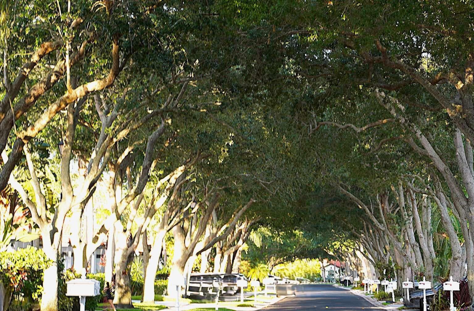 8088 Vía Di Veneto, Boca Raton, FL 33496 — zdjęcie 5