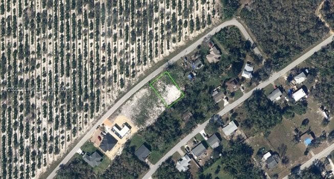 116 CLINTON AVE, Lake Placid, FL 33852 — zdjęcie 4