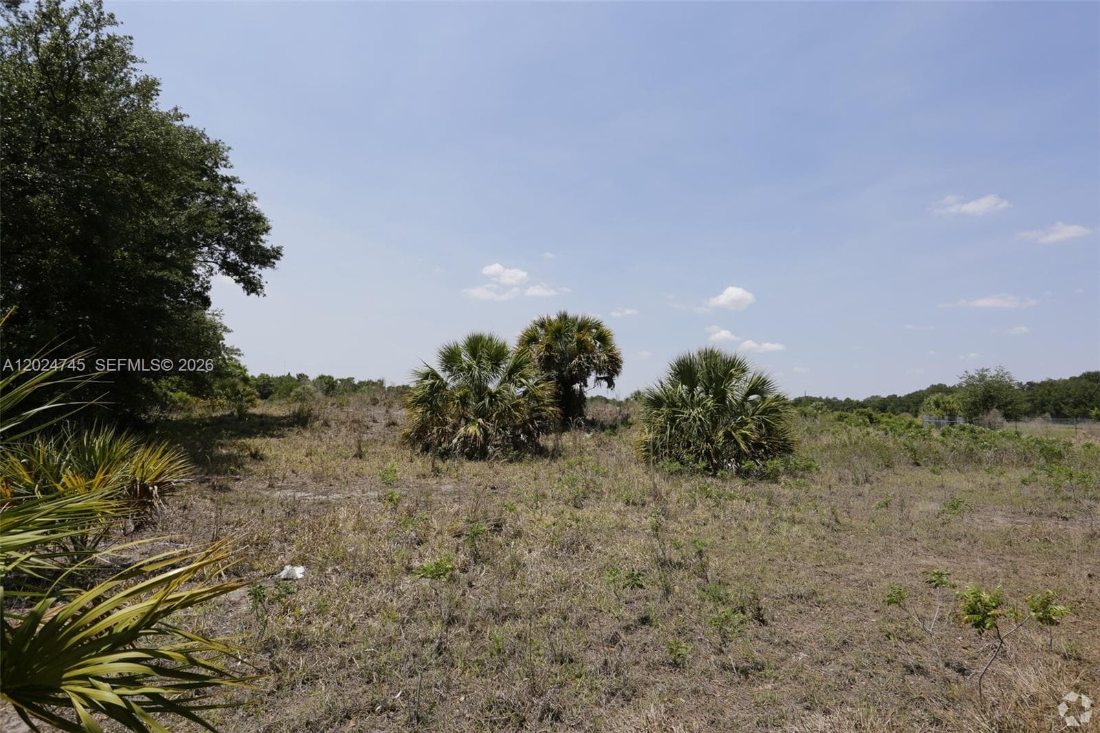1527 N HIGHWAY 17, Unincorporated Dade County, FL 34266 — zdjęcie 3