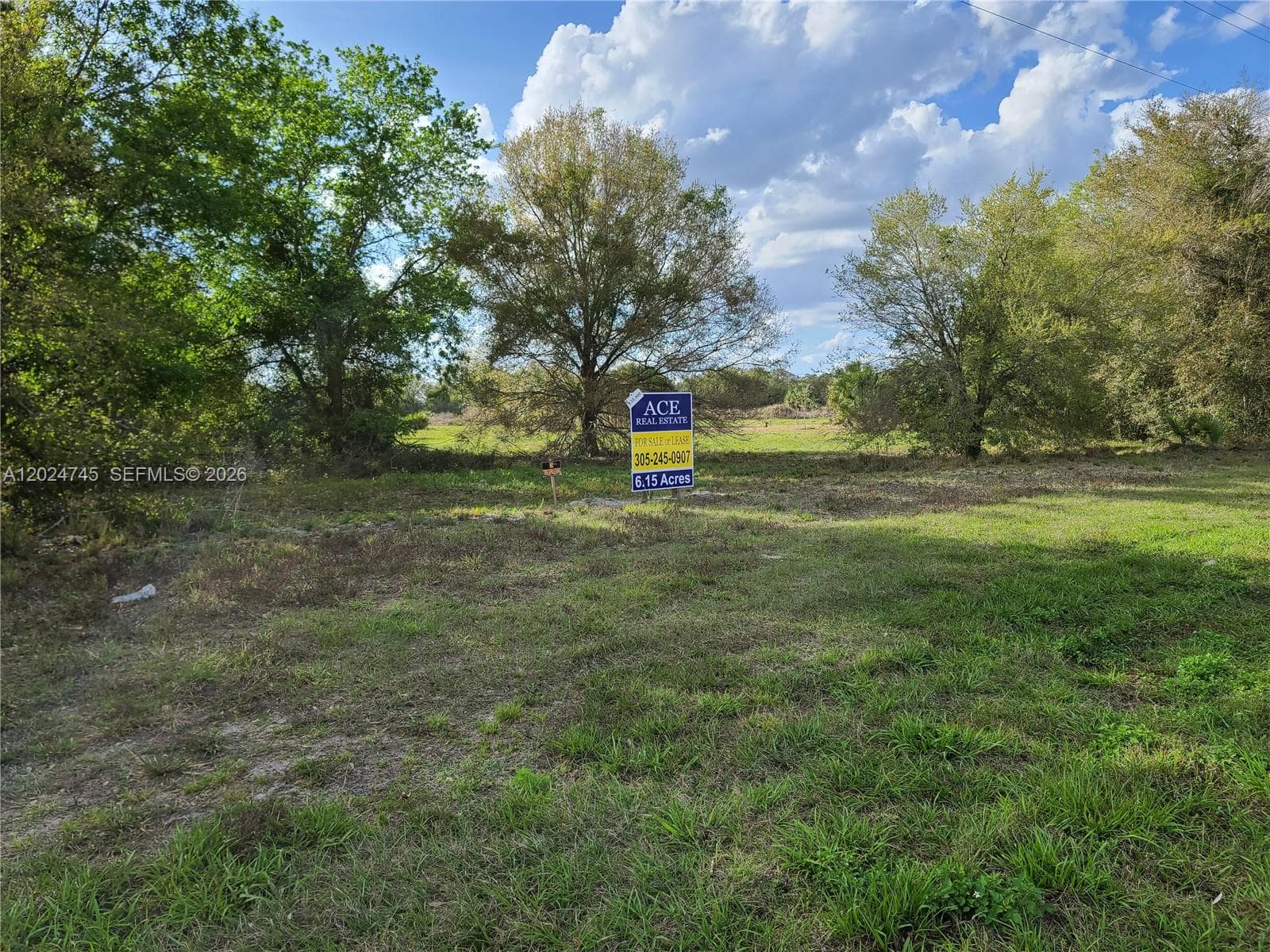 1527 N HIGHWAY 17, Unincorporated Dade County, FL 34266 — zdjęcie 5
