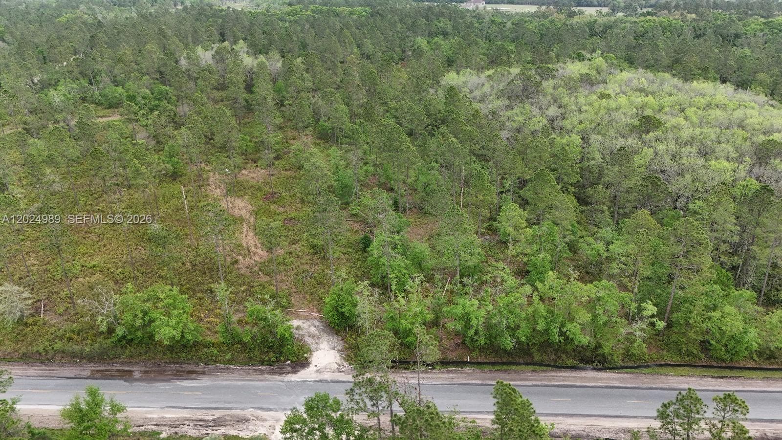 0 SE COUNTY ROAD 25A, Other City - In The State Of Florida, FL 32096 — zdjęcie 3