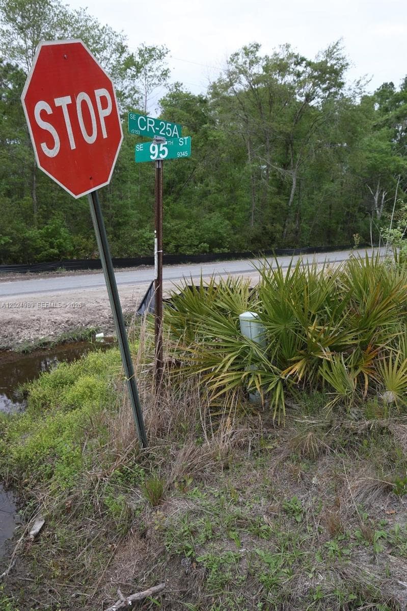 0 SE COUNTY ROAD 25A, Other City - In The State Of Florida, FL 32096 — zdjęcie 5