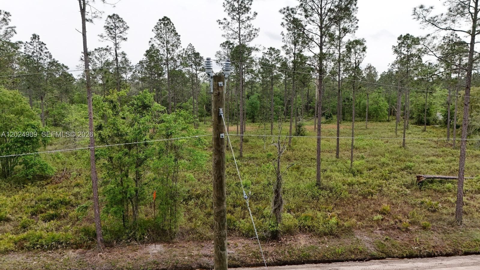 0 SE COUNTY ROAD 25A, Other City - In The State Of Florida, FL 32096 — zdjęcie 4